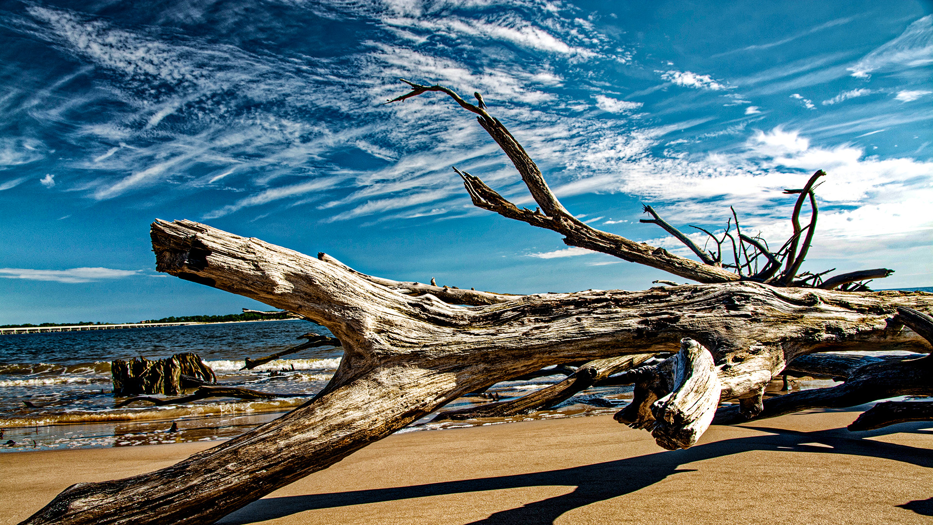 Big Talbot Island