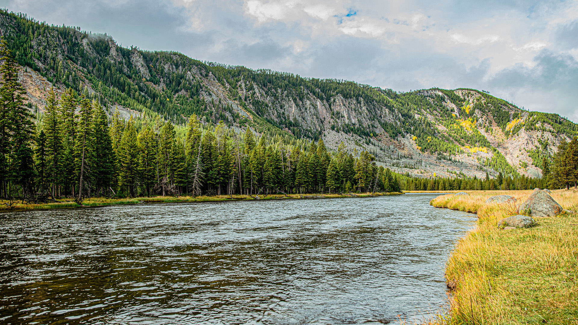 Yellowstone